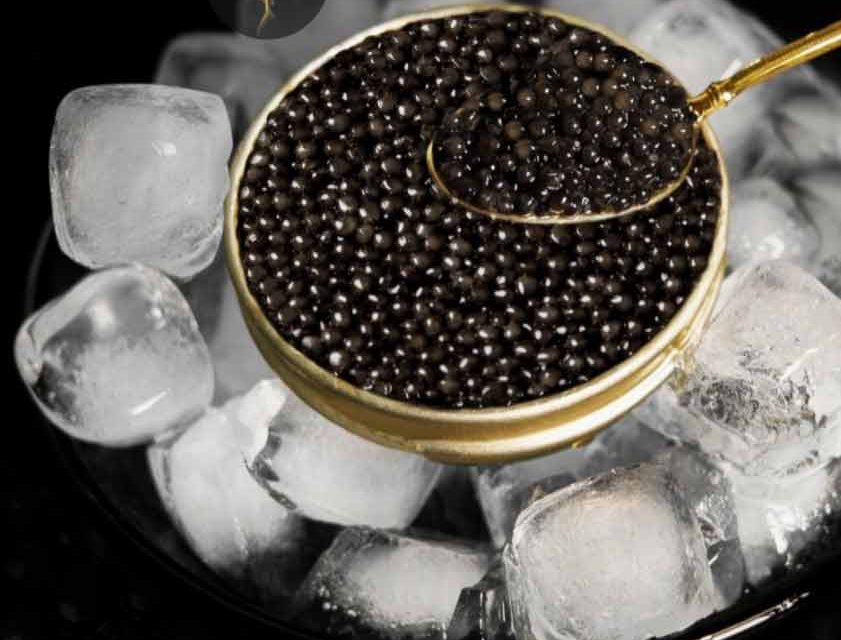 PAIRING WORKSHOP «Discover some exceptional pairings of caviar with the sake»