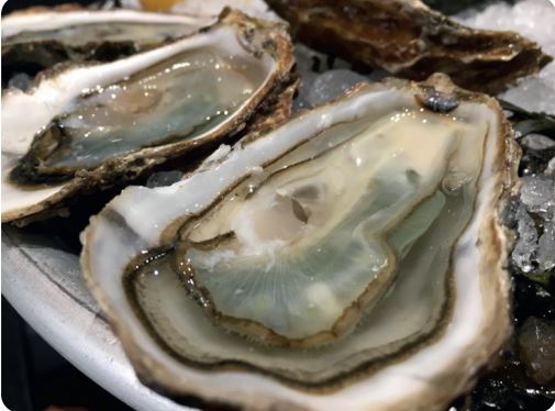 PAIRING-WORKSHOP: Oysters and Sake (Sunday - SESSION 2 – 15H15)