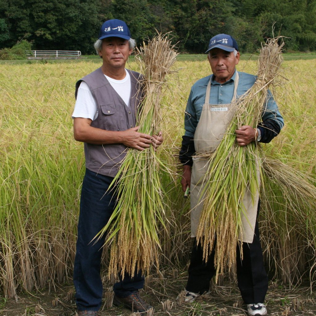 プロのマスタークラス OKAYAMA『 "Omachi Rice between tradition and innovation : 4 brewers, 4 points of view"』