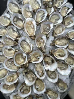 PAIRING-WORKSHOP “Carnac Oyster Pairing Workshop” (Sunday, Session 2 -2:15 PM) Salon du Saké European Fair for Sake and Japanese Beverages