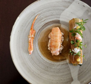 langoustine-cervelle-de-veau-poireau-condiment-citron-cardamine