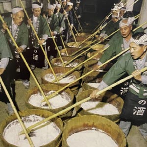 講演会「Exploring the traditional knowledge and skills of the sake shubo (starter culture)」(土曜日) サロン・デュ・サケ2025